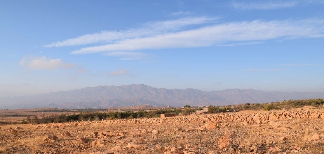 Carnet de voyage, à la découverte du safran du Maroc